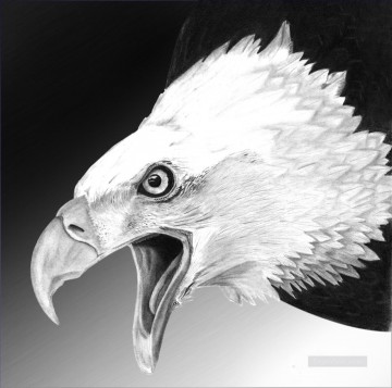 La pintura del águila de las fotos al arte Pinturas al óleo